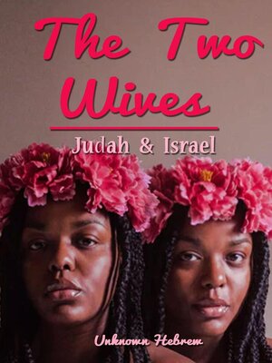 cover image of The Two Wives